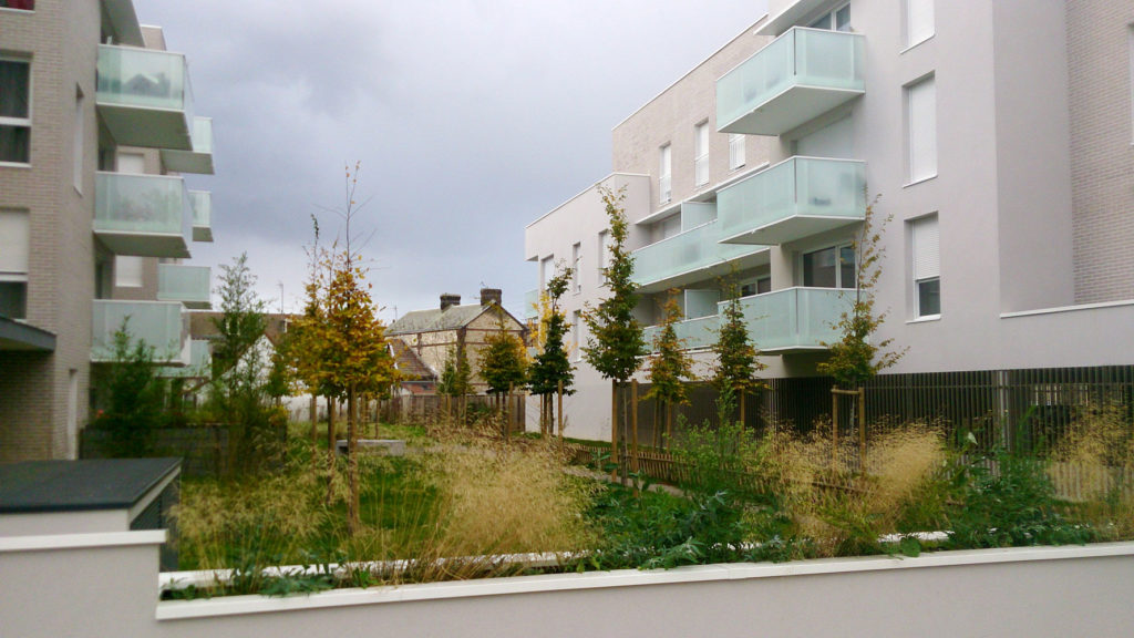 Bois habité, résidence les cerisiers à Petit-Quevilly (Seine-Maritime)
